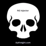 NG Injector